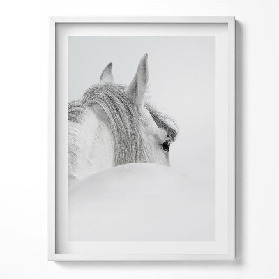 Kép keretben Andalúziai ló ködben