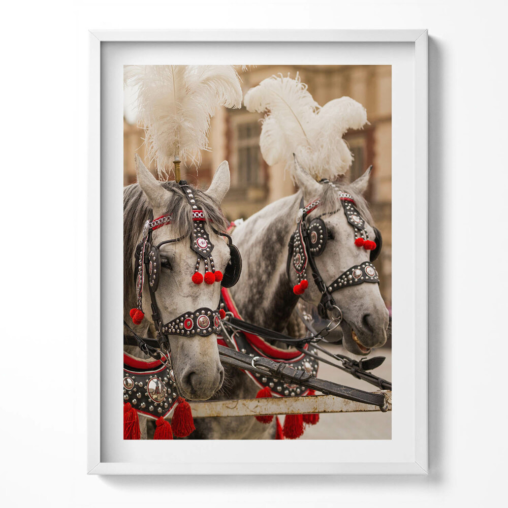 Kép keretben Gyönyörű lovak Krakkóban