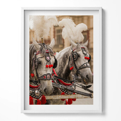 Kép keretben Gyönyörű lovak Krakkóban