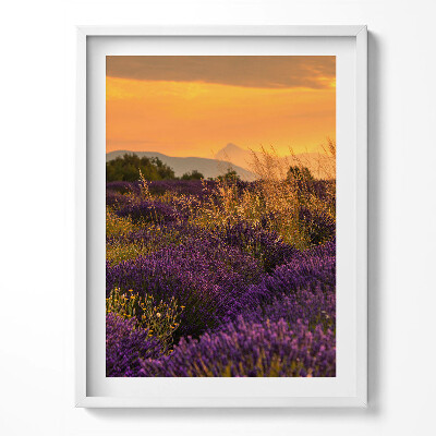 Kép keretben Levendula rét Provence Franciaország