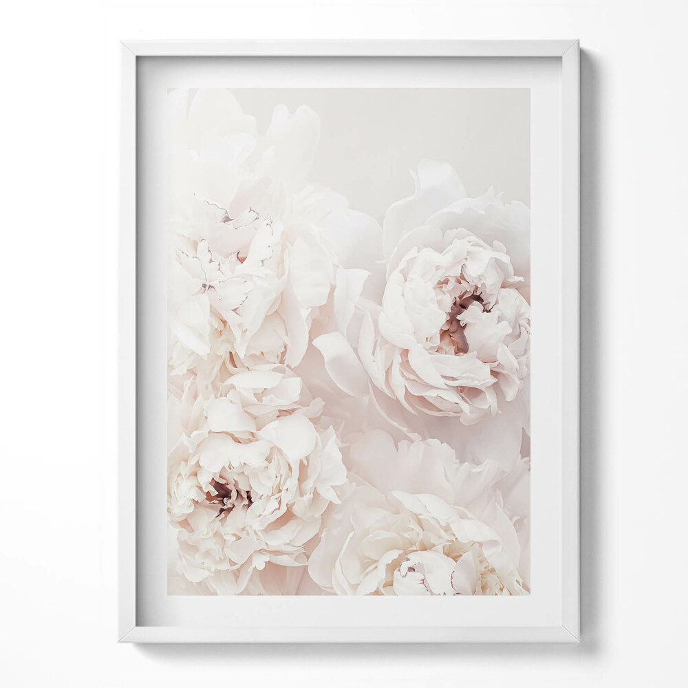 Kép keretben Bazsarózsa virágok