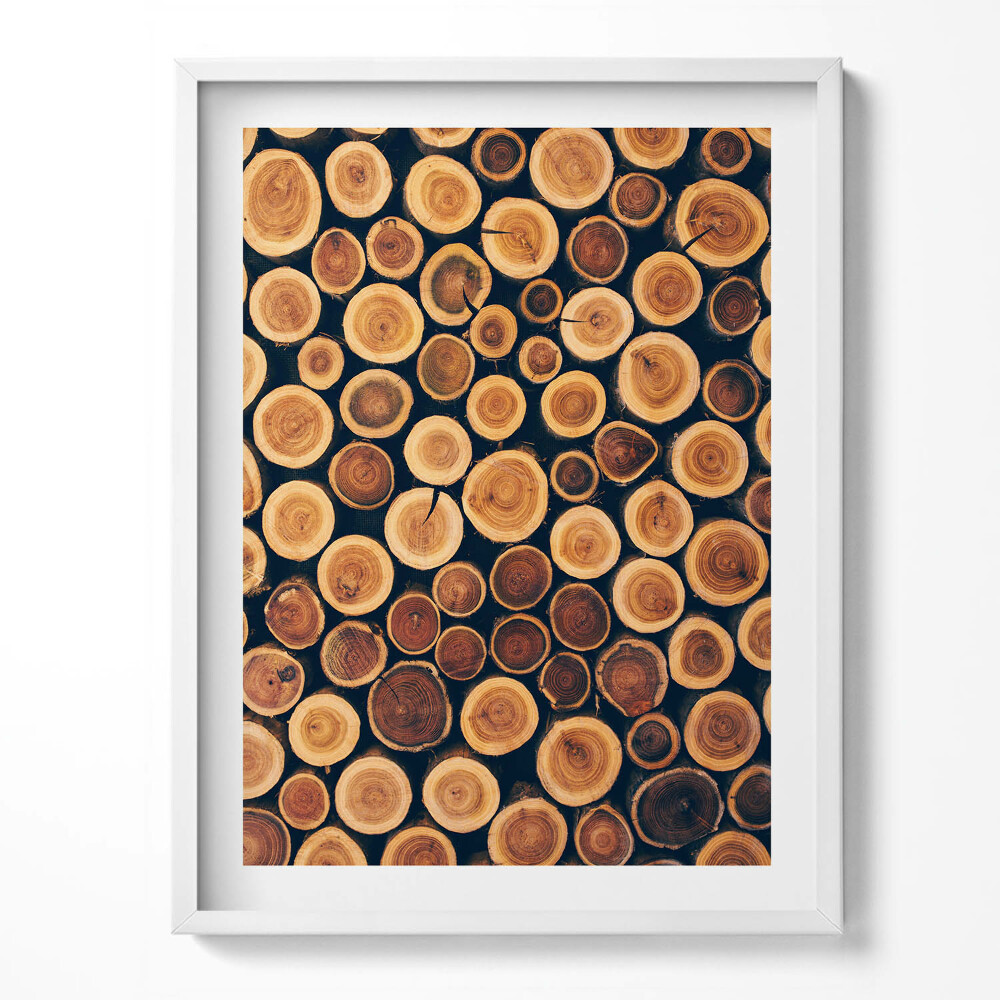 Keretezett kép fatörzsek