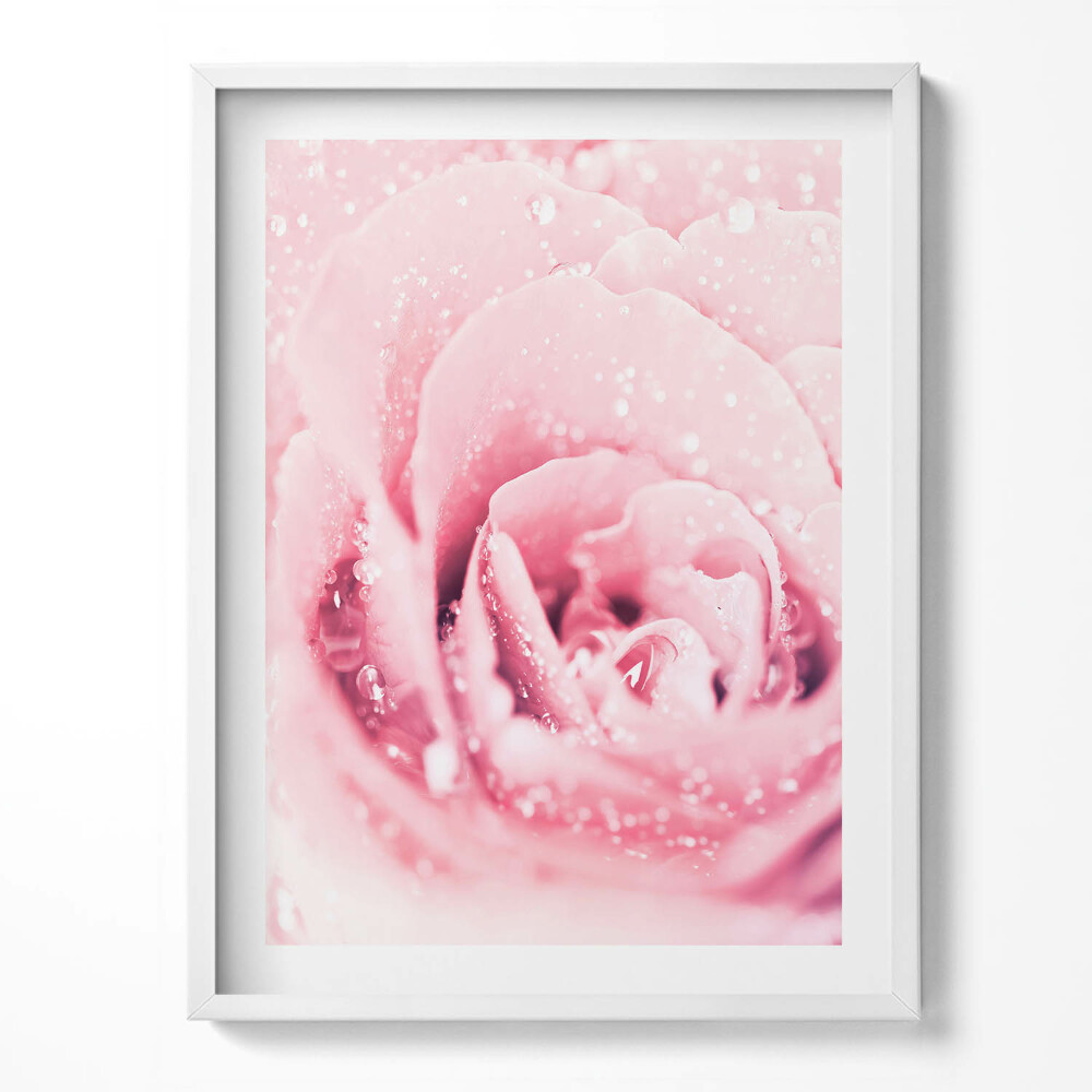 Kép keretben Rózsaszín finom virág