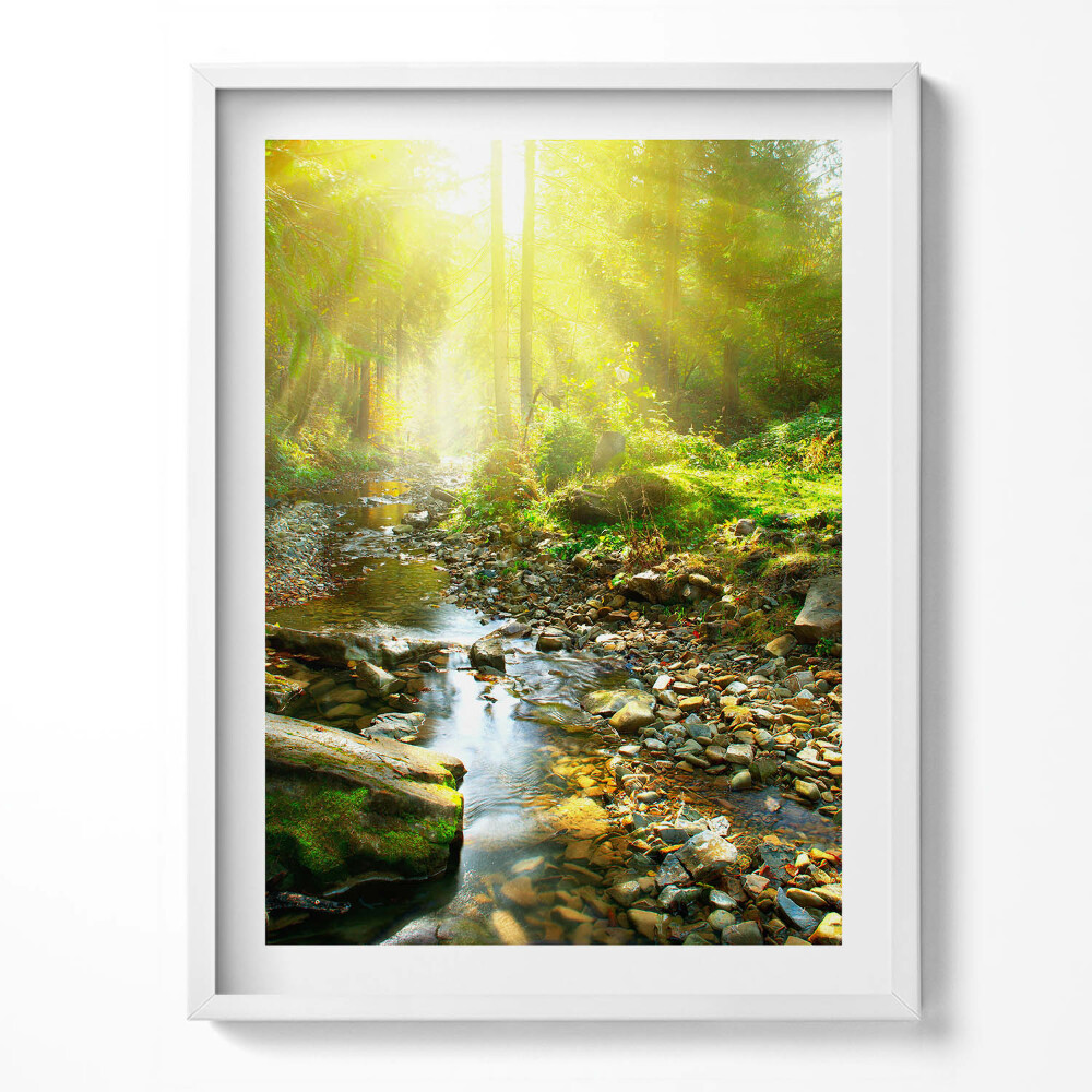 Keretezett kép Erdei patak a napsütésben