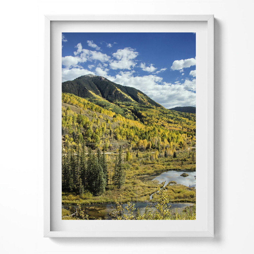 Kép keretben Hegyi táj növényzete