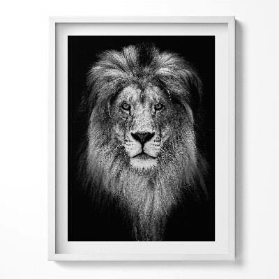 Keretezett kép Vadmacska oroszlánfej