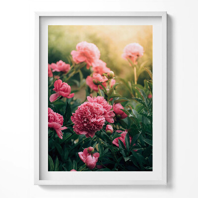 Keretezett kép Pink flowers on a meadow