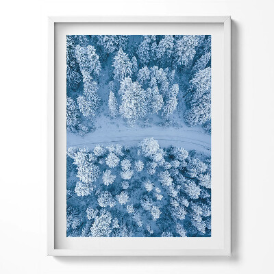 Kép keretben Erdő madártávlatból Drón