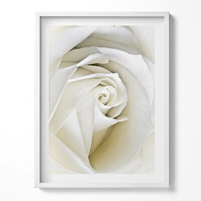 Kép keretben Finom fehér rózsaszirmok