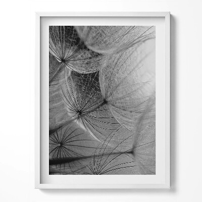 Kép keretben Fekete-fehér közelkép egy lepkéről