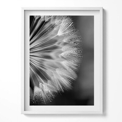 Keretezett kép Fekete-fehér közelkép egy lepkéről