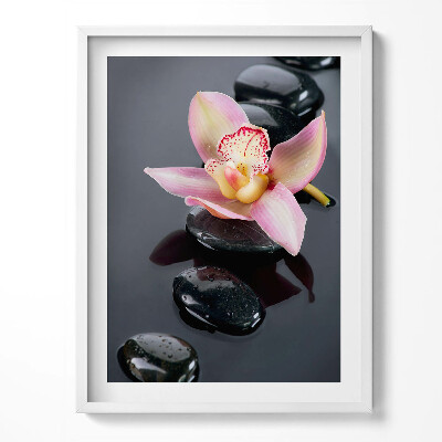 Keretezett kép Virág a köveken a vízben