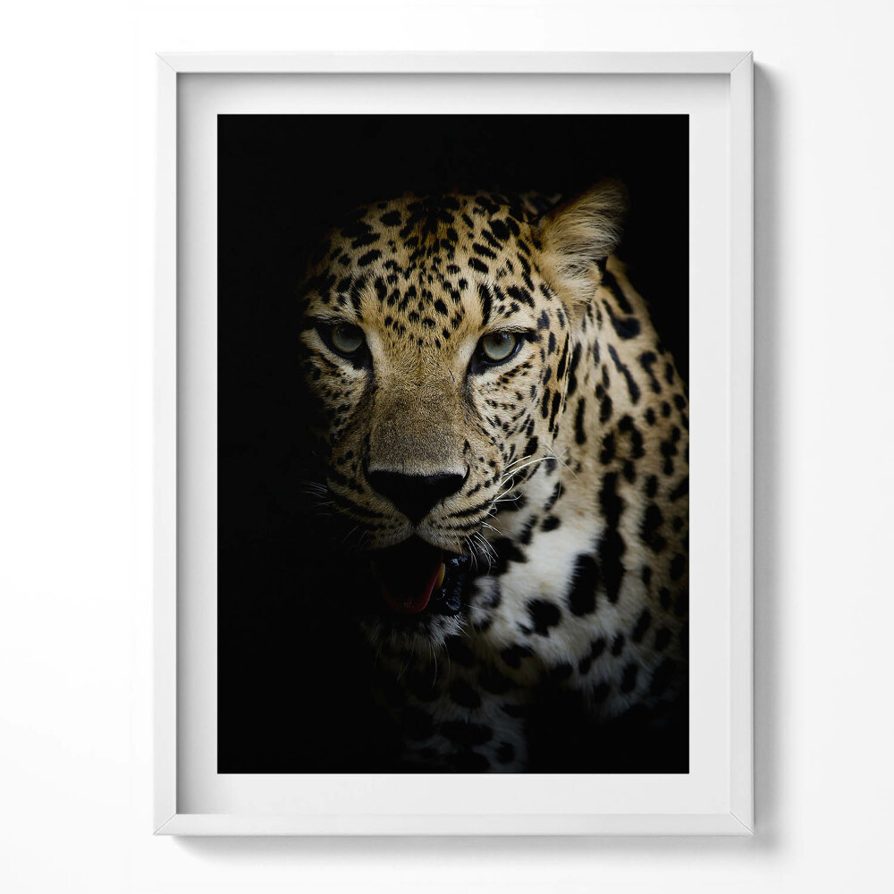 Kép keretben Vadmacska tigris feketében