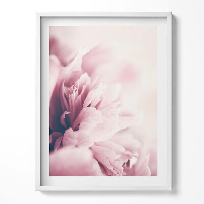 Keretezett kép Közelkép Közelkép pünkösdi rózsaszirmokról