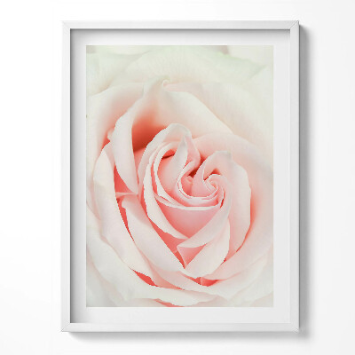 Kép keretben Közelkép rózsaszirmokról