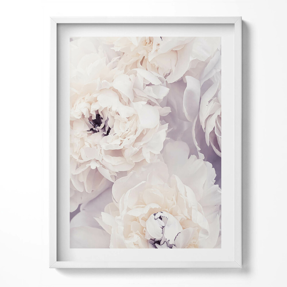 Keretezett kép Finom bazsarózsa virágok