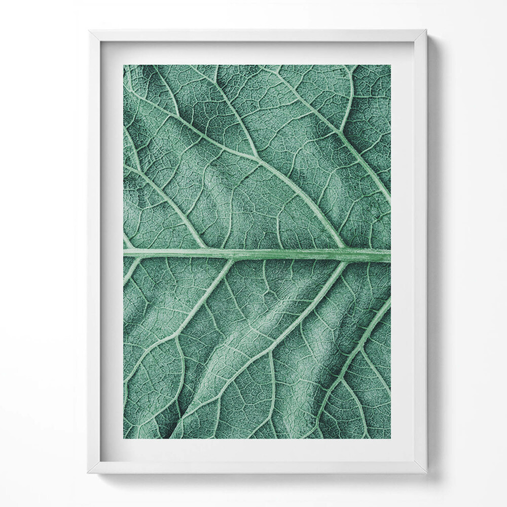 Kép keretben Levél erezetének közelképe