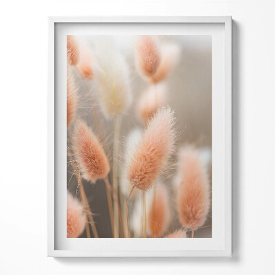 Kép keretben Finom bolyhos boho füvek