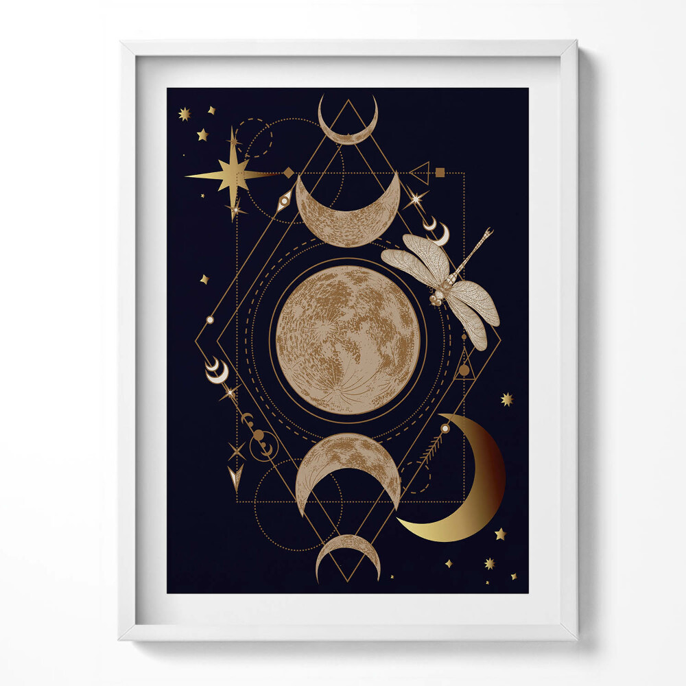 Keretezett kép Magical composition of cosmos and dragonfly