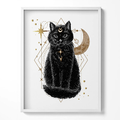 Kép keretben Varázslatos fekete macska és kozmosz