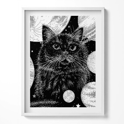 Kép keretben Varázslatos fekete macska és kozmosz