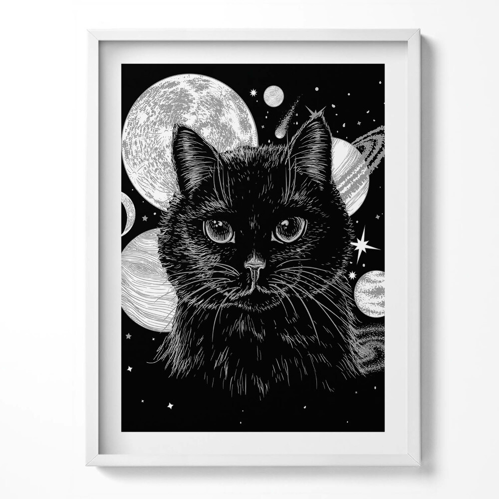 Keretezett kép Varázslatos fekete macska és kozmosz