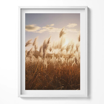 Keretezett kép Romantikus naplemente fű felett