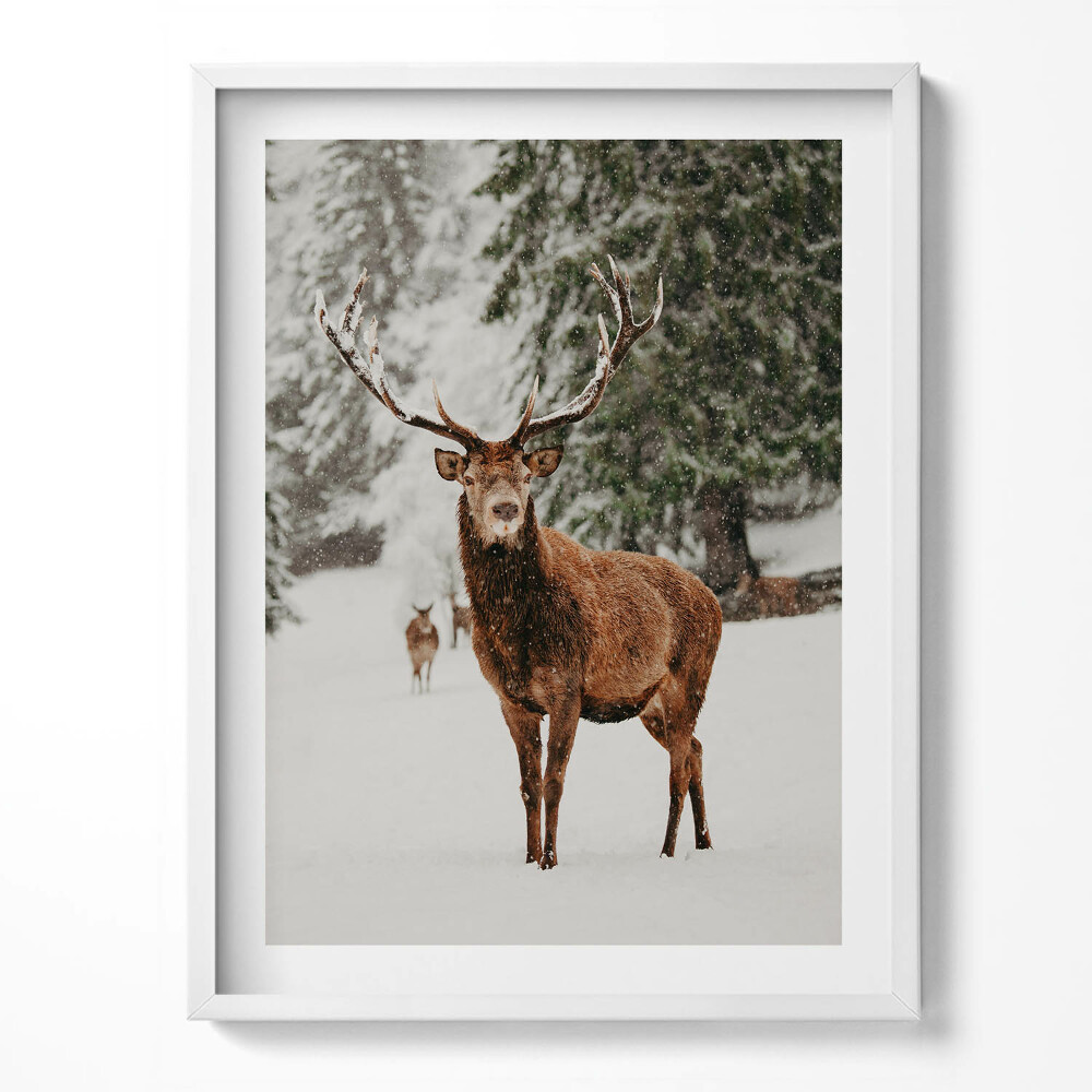 Kép keretben Szarvasok a téli erdőben