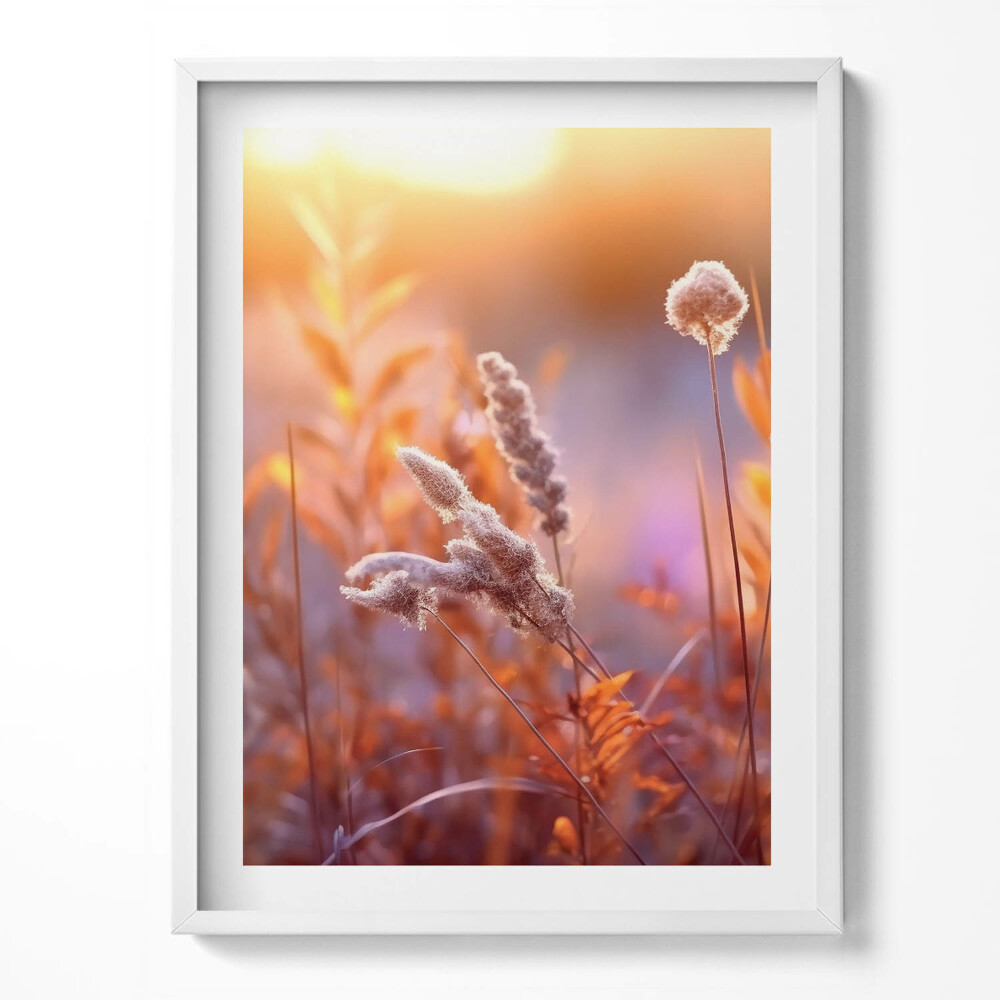 Kép keretben Boho grasses at sunrise