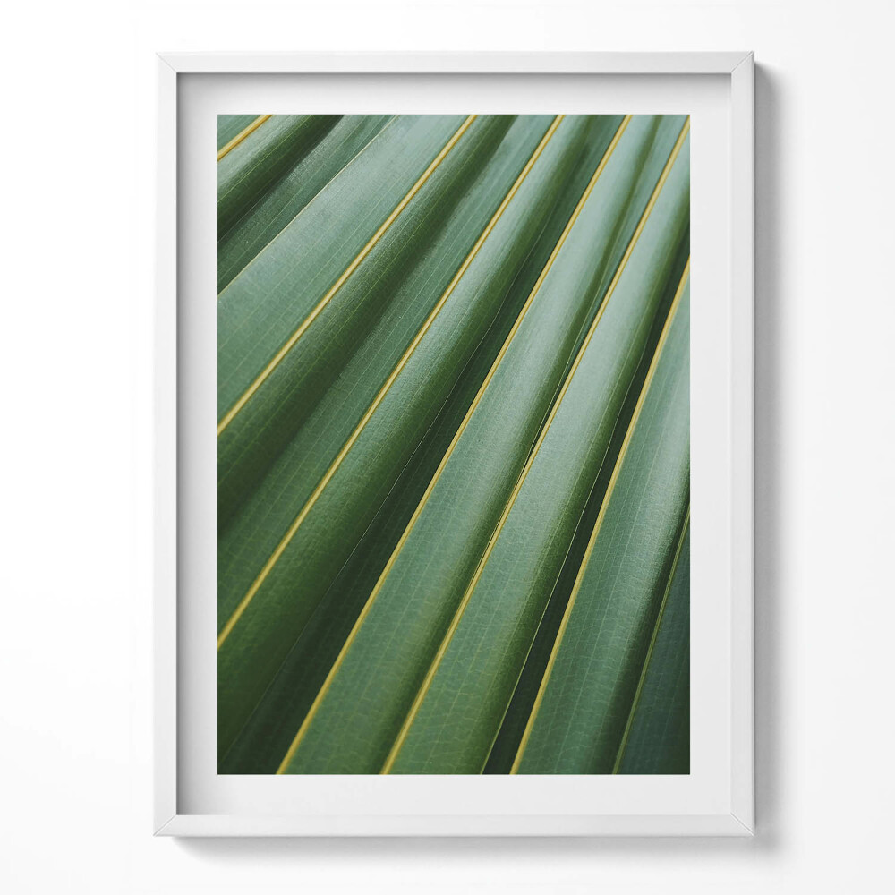 Keretezett kép Zöld növény textúrája