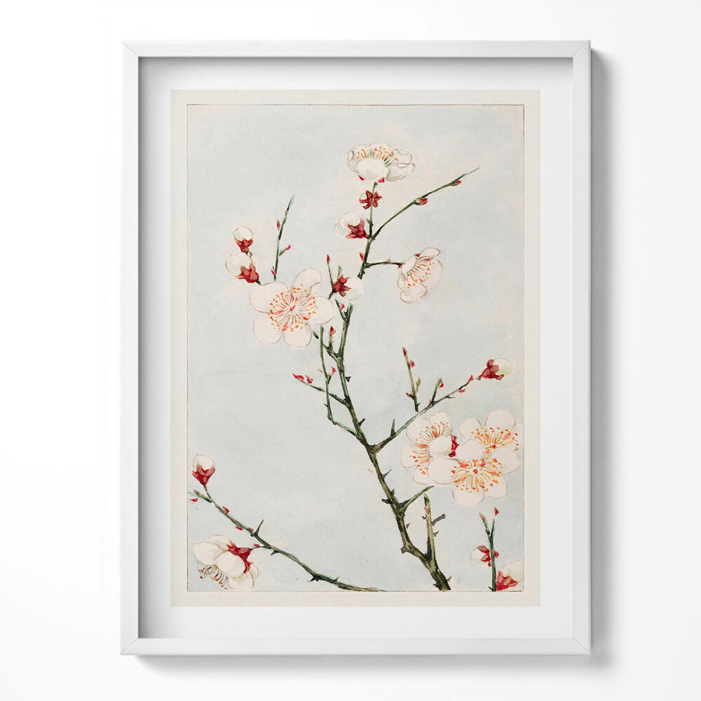Kép keretben Minimalista illusztráció egy ágról virágokkal
