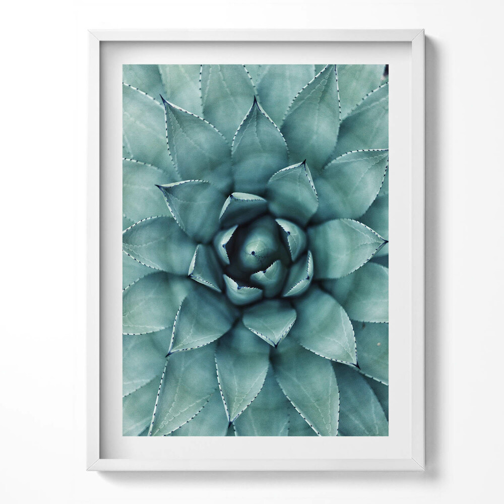 Kép keretben Zöld zamatos növény