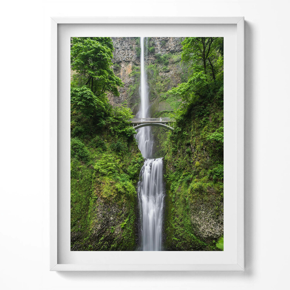 Kép keretben Zöldház ablak és növények