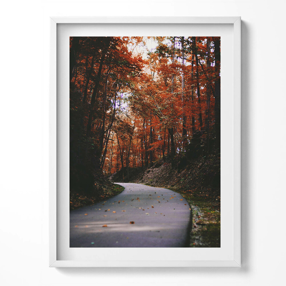 Kép keretben Vintage növények az ablakon