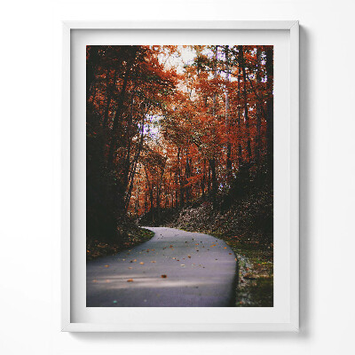 Kép keretben Vintage növények az ablakon