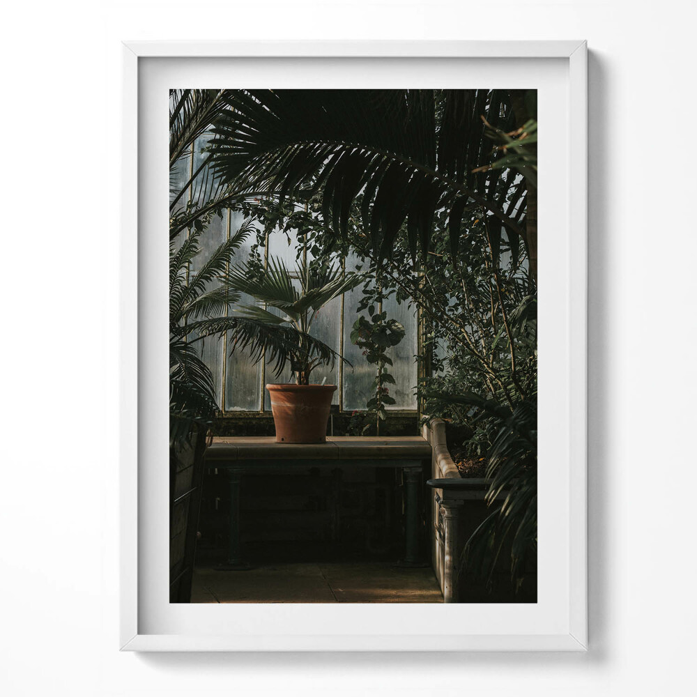 Keretezett kép Zöld zamatos növények