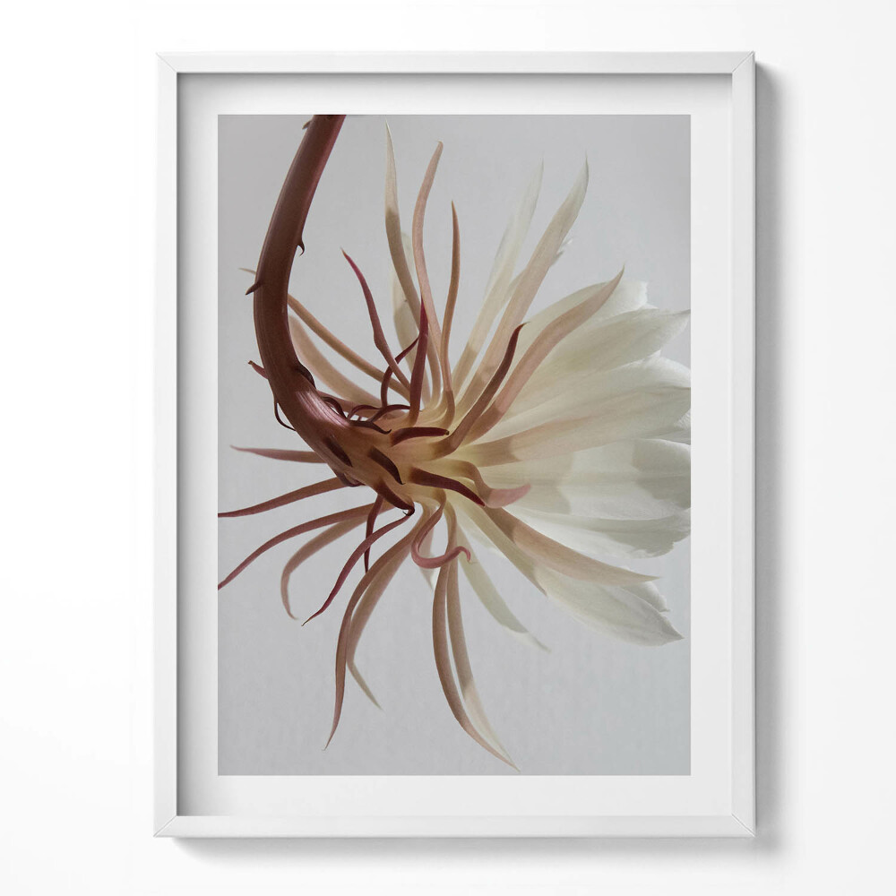 Kép keretben Eiffel-torony virágokban - Párizs, Franciaország