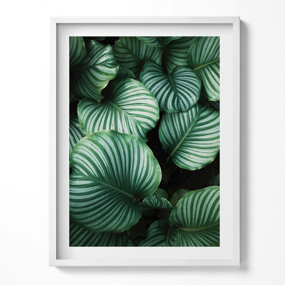 Kép keretben Tengerparti út madártávlatból