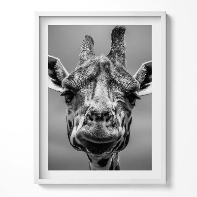 Kép keretben Közelkép egy barna sörényű lóról