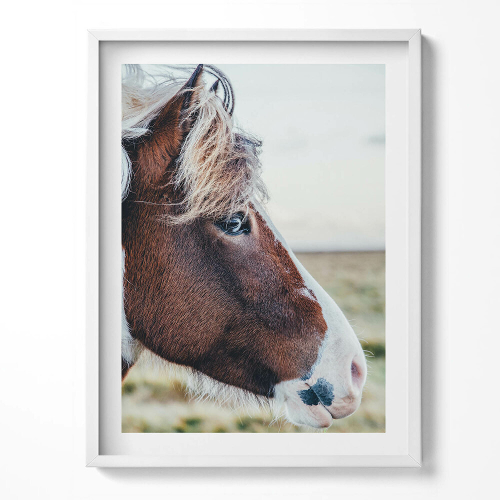 Keretezett kép Nyugodt tengerpart a sziklák lábánál