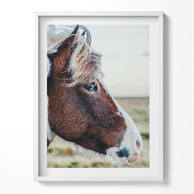 Keretezett kép Nyugodt tengerpart a sziklák lábánál