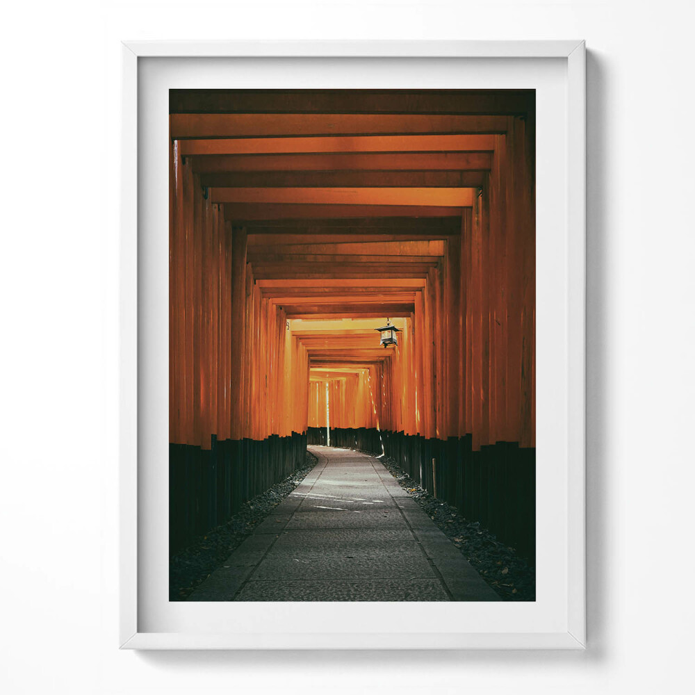 Keretezett kép Zöld banánlevelek a napon