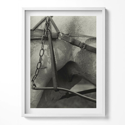 Keretezett kép Rajz egy csontvázról