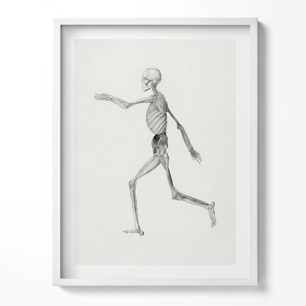 Kép keretben Vázlatos illusztráció egy csontvázról