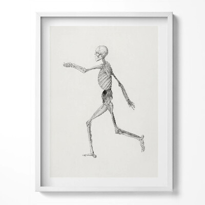 Kép keretben Vázlatos illusztráció egy csontvázról