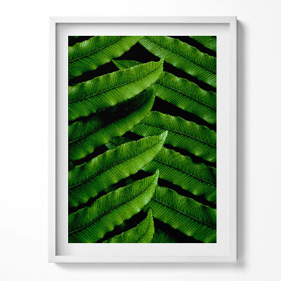 Keretezett kép Legyes naplementében