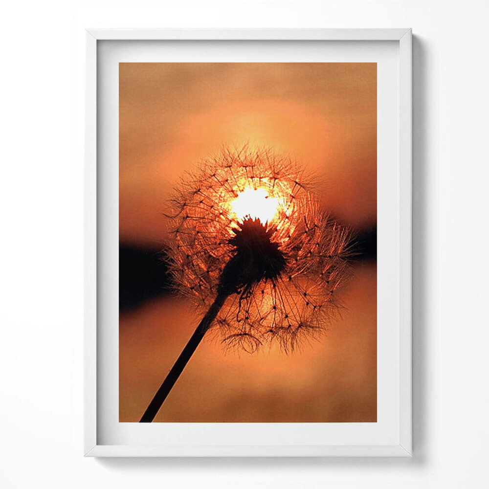 Kép keretben Zöld táj egy erdei patak