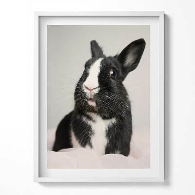 Kép keretben Színes füst absztrakt