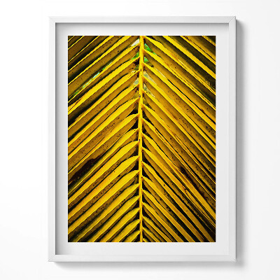 Kép keretben Kaktusz az ég ellen