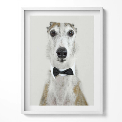Keretezett kép Portré egy csokornyakkendős kutya